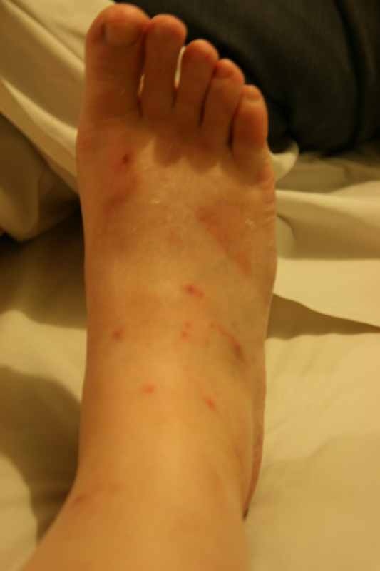 Nieuw-Zeeland 2011 - 1729